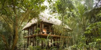 The Wanderlust Series: This Luxe Amazonian Resort Is the Most Opulent Way to Experience the Peruvian Rainforest