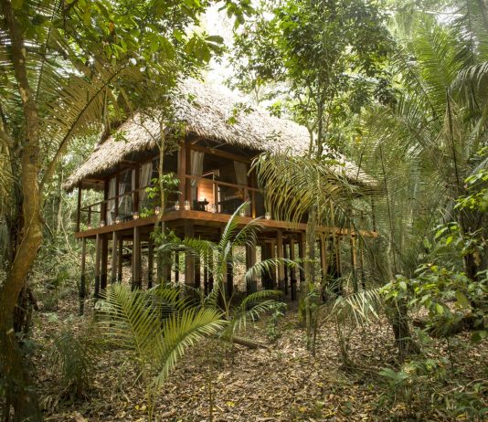The Wanderlust Series: This Luxe Amazonian Resort Is the Most Opulent Way to Experience the Peruvian Rainforest