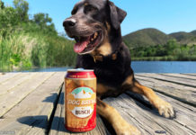 This Dog Beer Brings a Whole New Meaning to Cracking Open a Cold One With the Boys